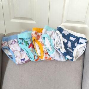 Bundle of 5 (five) Blueberry potty training pants size Large